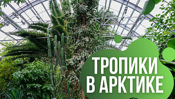Выпуск “Самый северный ботанический сад России” передачи “Культура и быт”