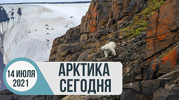 Выпуск “Арктика сегодня: туризм, экология, Кольская ветроэлектростанция” передачи “Арктические новости”
