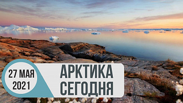 Выпуск “Арктика сегодня: судостроение, наука, охрана природы” передачи “Арктические новости”