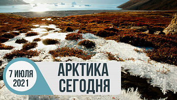 Выпуск “Арктика сегодня: экологические вызовы” передачи “Арктические новости”