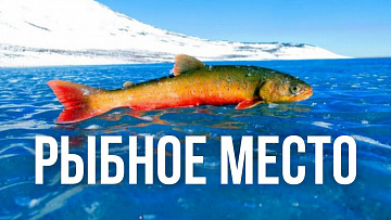 Выпуск “Какой рыбой богата Якутия” передачи “Культура и быт”