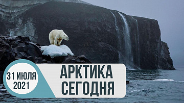 Выпуск “Арктика сегодня: «Чистая Арктика», добыча СПГ, инвестиции” передачи “Арктические новости”