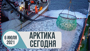 Выпуск “Арктика сегодня: рыболовство, экология, «Арктический гектар»” передачи “Арктические новости”