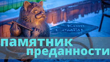 Выпуск “История мурманского кота-путешественника” передачи “Культура и быт”