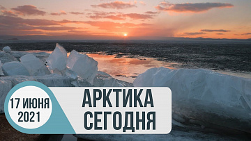 Выпуск “Арктика сегодня: заседание общественников, экологическая экспертиза, космическое наблюдение” передачи “Арктические новости”