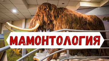 Выпуск “Как изучают мамонтов в Якутии” передачи “Наука и жизнь”