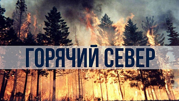 Выпуск “Лесные пожары захватили Арктику” передачи “Экология”